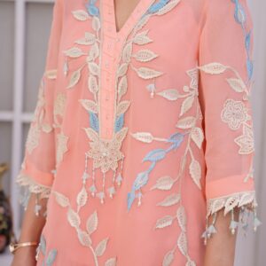 elegant pure shafun party wear with exquisite embroidery – premium designer dress